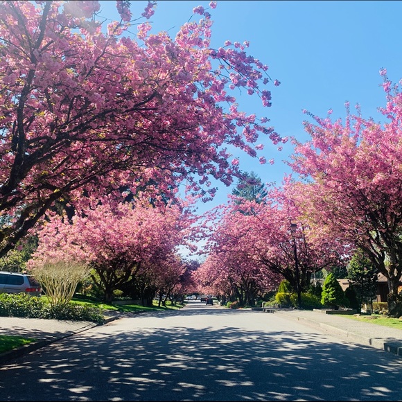 Meet your Posher, Jaime - Picture 1 of 1